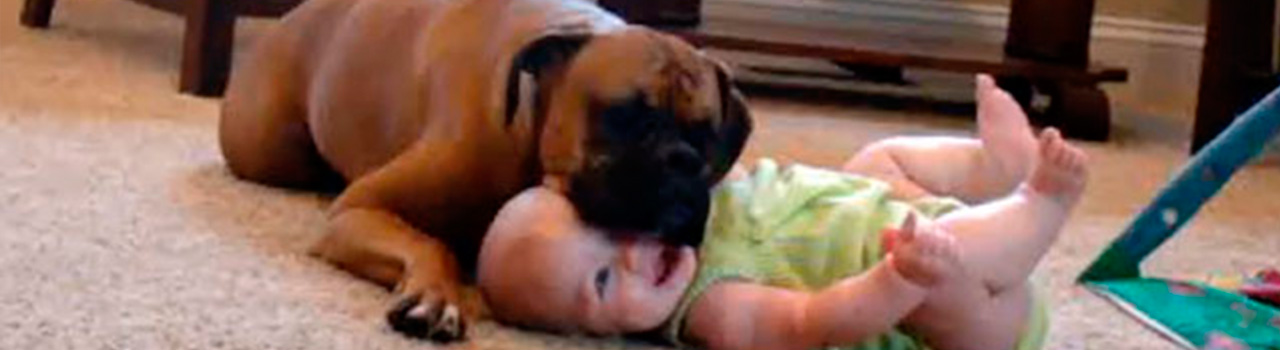 sophie-boxer-bebe