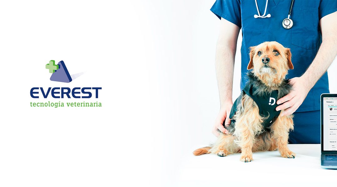 Dinbeat y Everest cierran un acuerdo para distribuir Dinbeat UNO en España