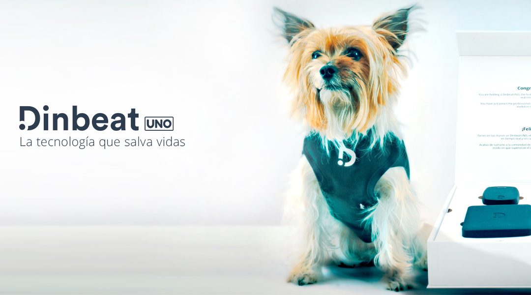 El uso de Dinbeat UNO maximiza la eficiencia en el servicio de hospitalización