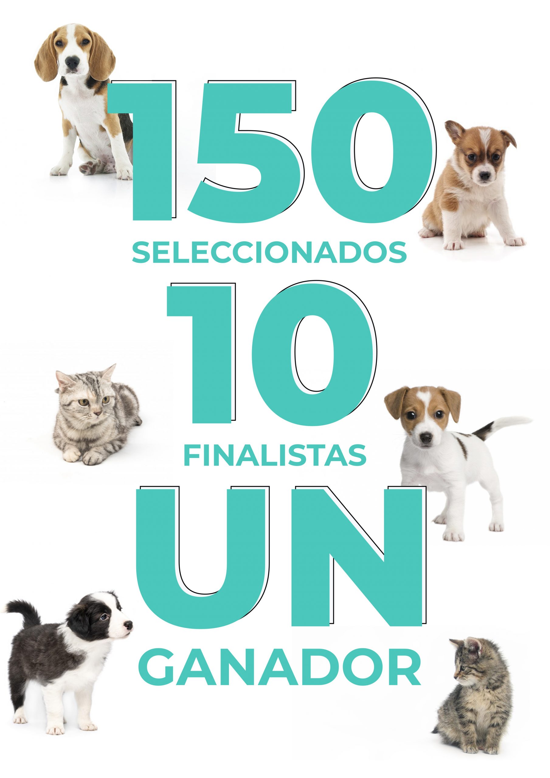 150_clinicas_img_landing