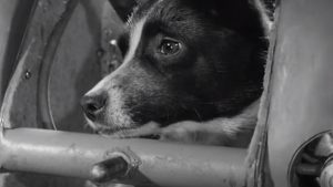la historia jamás contada de laika la perra astronauta