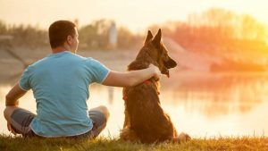 How to Monitor Cat Heart Rate in a Veterinary Clinic